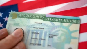 Cognizant's Green Card Sponsorship Suspended Amid Visa Fraud Investigation