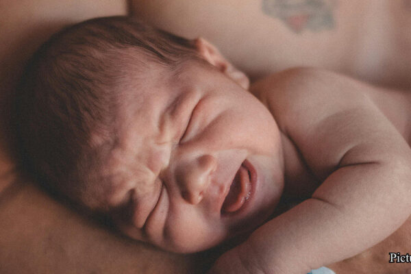 GNN A Biologist Explains Why Human Babies Are Born So Helpless Evolution's Strategic Tradeoff