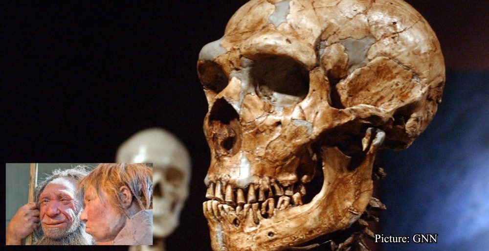 GNN ‘Genetic Analysis Reveals New Details on Ancient Human and Neanderthal Couplings ABC News