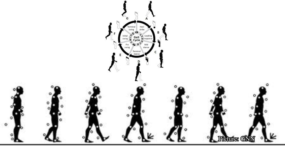 GNN Biometric Analysis of Gait Suggests Walking Patterns Serve as Legible Indicators of Emotional States