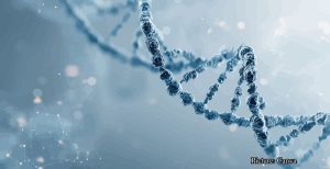 GNN New Weizmann Institute Study Reveals Genetics May Account for 50% of Human Lifespan