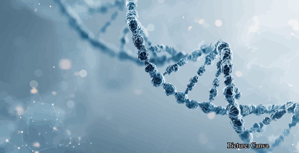 GNN New Weizmann Institute Study Reveals Genetics May Account for 50% of Human Lifespan