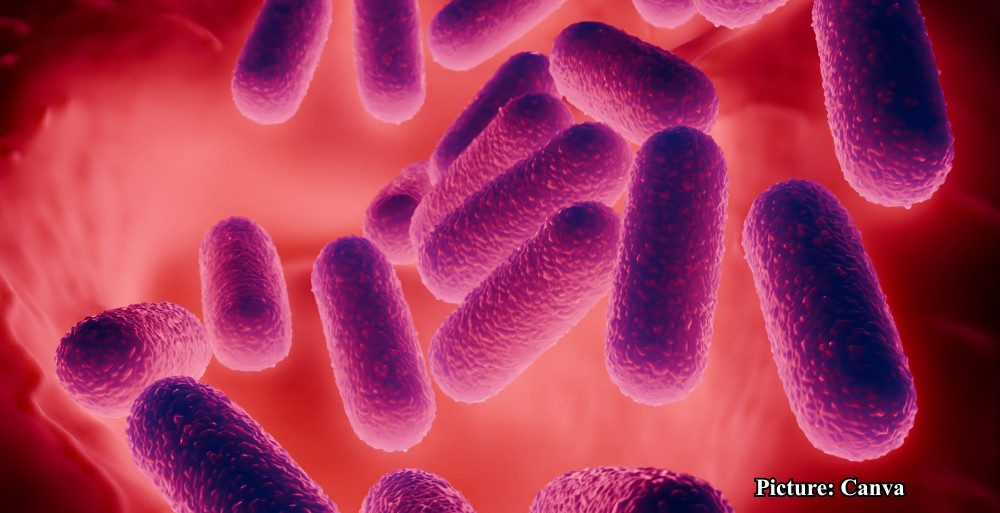 GNN Research Uncovers Mechanism Used by Tuberculosis Bacteria to Evade Immune Response