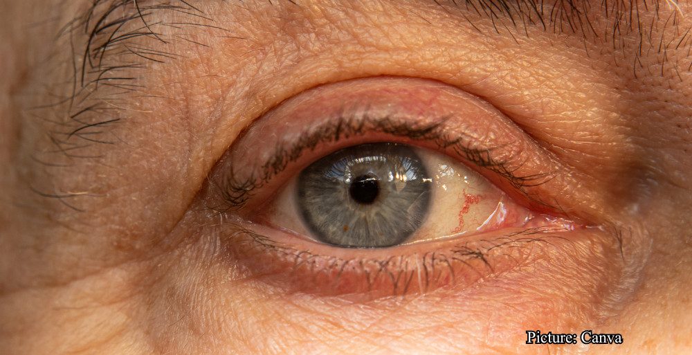 GNN Study Identifies Key Turning Point in Human Aging Around Age 50