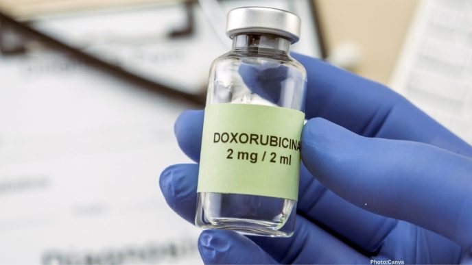 Photo Breakthrough in Doxorubicin Production Enhances Cancer Treatment Manufacturing