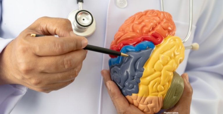 Photo German Researcher Discovers Brain's Navigational System Enhancing Understanding of Memory and Cognition