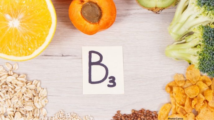 Photo University of Calgary Investigates Vitamin B3 as a Potential Treatment for Glioblastoma