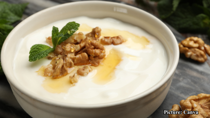 GNN Comparative Analysis of Cottage Cheese and Greek Yogurt Nutritional Insights and Health Implications