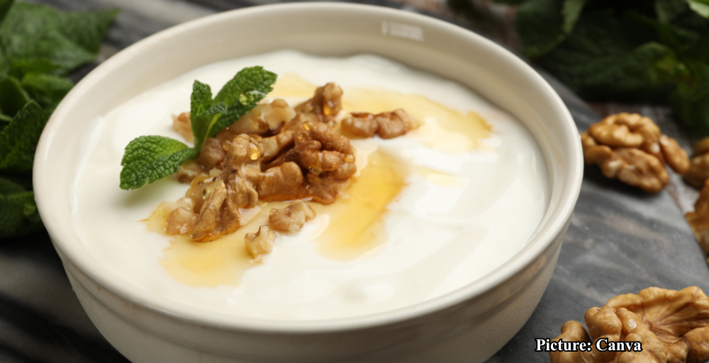 GNN Comparative Analysis of Cottage Cheese and Greek Yogurt Nutritional Insights and Health Implications