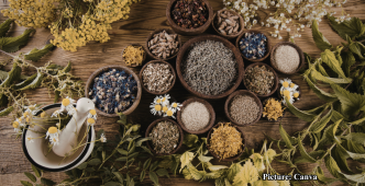 GNN Experts Warn of Risks in Rising Popularity of Natural Health Remedies in India