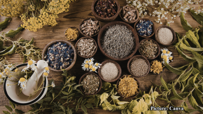 GNN Experts Warn of Risks in Rising Popularity of Natural Health Remedies in India
