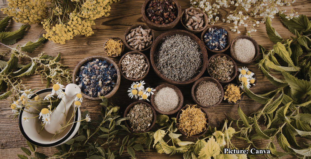 GNN Experts Warn of Risks in Rising Popularity of Natural Health Remedies in India