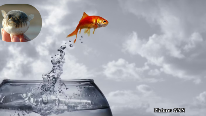 GNN Study Reveals Complex Genetic Pathways Behind Animal Life's Transition from Water to Land