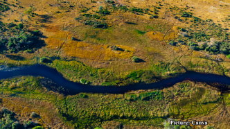 GNN Study Reveals Rapid Subsidence in Major River Deltas Endangering Millions