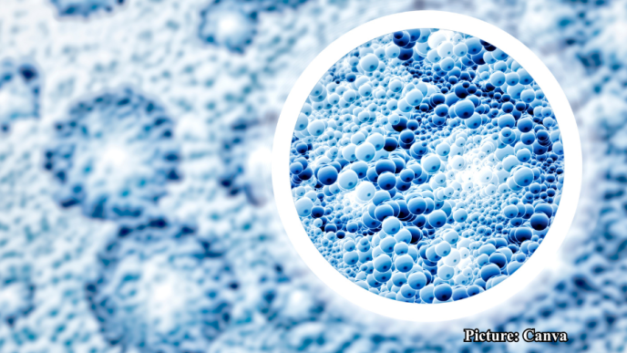 GNN Swiss Study Reveals Key Biological Differences Among Centenarians