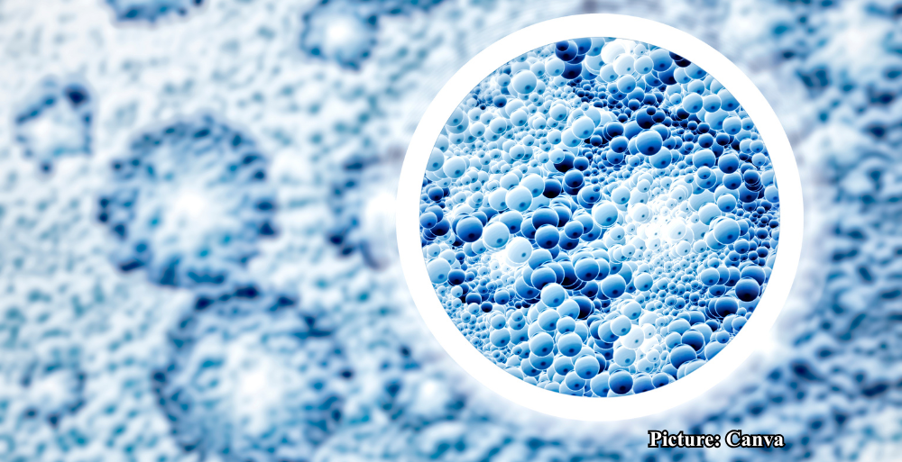 GNN Swiss Study Reveals Key Biological Differences Among Centenarians