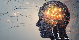 GNN Texas A&M Researchers Develop Nasal Spray to Reverse Brain Aging and Enhance Memory