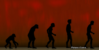 GNN The Human Body An Evolutionary Compromise Rather Than a Perfect Design