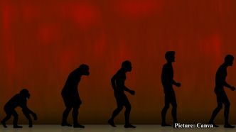 GNN The Human Body An Evolutionary Compromise Rather Than a Perfect Design