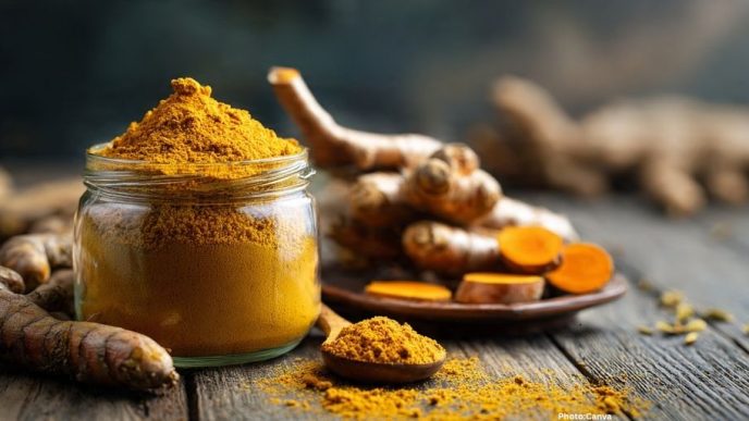 Exploring the Health Benefits of Turmeric: A Comprehensive Review