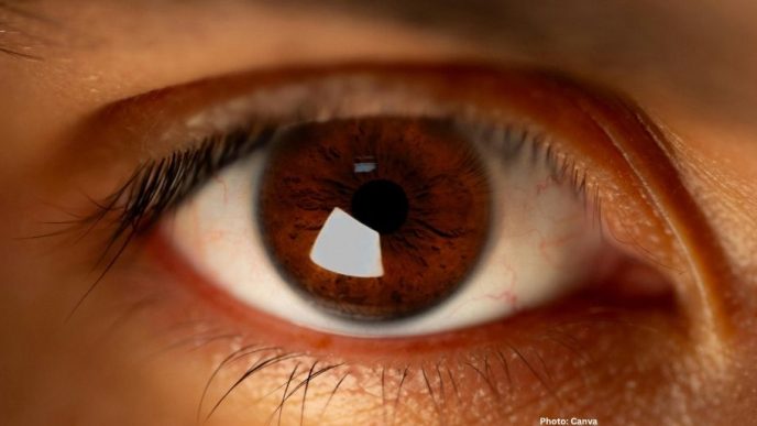 Photo Eight Foods to Enhance Eye Health A Comprehensive Guide