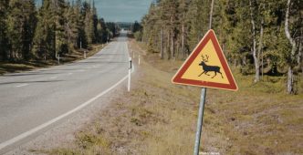 Photo India Launches Innovative Red Road to Protect Wildlife on National Highway 45