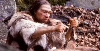 Photo Neanderthals Used Birch Tar as Antibacterial Treatment Study Reveals