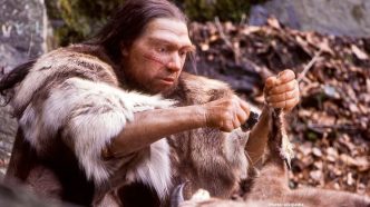 Photo Neanderthals Used Birch Tar as Antibacterial Treatment Study Reveals