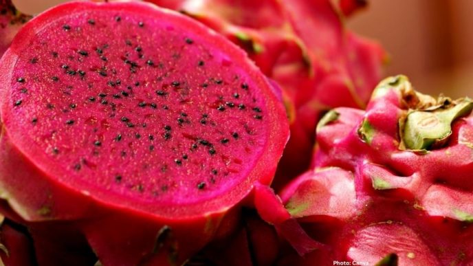 Photo Research Team Enhances Bread Nutritional Value Using Red Dragon Fruit Peel Extract