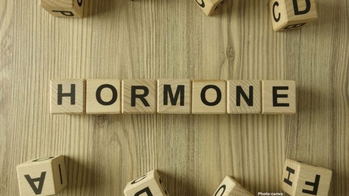 Photo Research Unveils Role of FGF21 Hormone in Obesity Reversal Through Brain Mechanisms