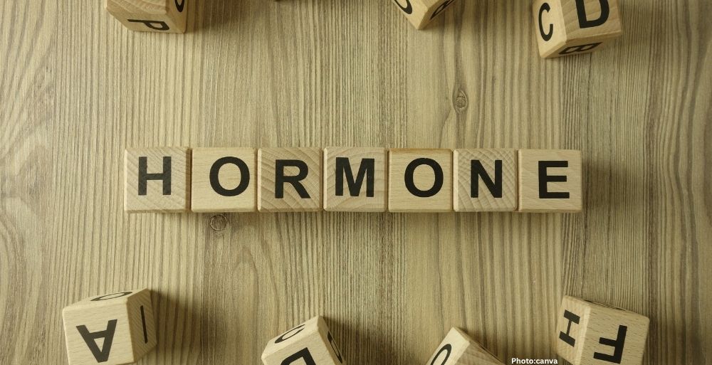 Photo Research Unveils Role of FGF21 Hormone in Obesity Reversal Through Brain Mechanisms