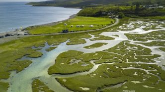 Photo Study Reveals Accelerated Subsidence in Major River Deltas Threatening Millions