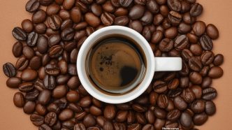 Photo Texas A&M Researchers Engineer Caffeine Based ‘On Switch’ for CRISPR Gene Editing