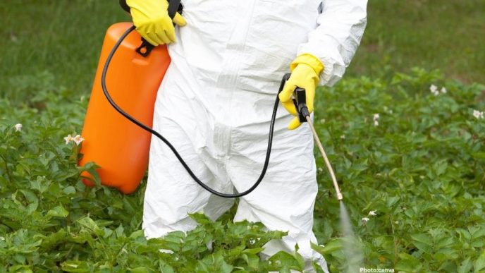 Photo U S Supreme Court to Hear Case on Glyphosate Regulation and Consumer Liability