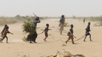 Photo UN Weather Agency Forecasts Return of El Niño by May 2024 Signaling Potential Global Weather Impacts