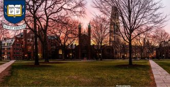 Photo Yale Students Seek Alternative Career Pathways Amid Uncertain Job Market