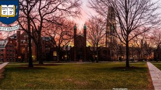 Photo Yale Students Seek Alternative Career Pathways Amid Uncertain Job Market