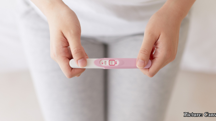 GNN Global Fertility Rates A Declining Trend and Its Implications