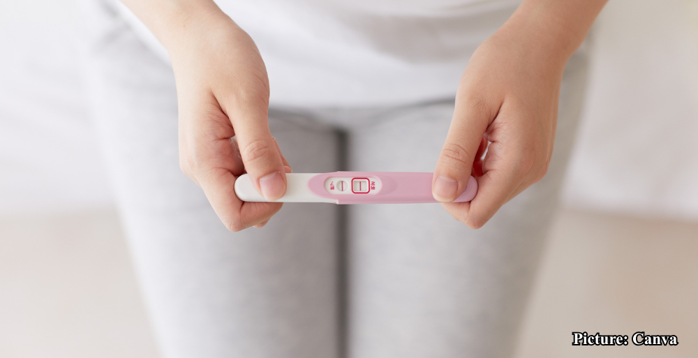 GNN Global Fertility Rates A Declining Trend and Its Implications
