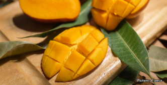 India's Mango Exports Flourish, Dominating Global Markets with UAE as Top Importer