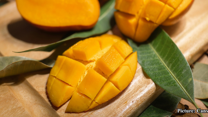 India's Mango Exports Flourish, Dominating Global Markets with UAE as Top Importer