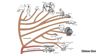 GNN New Research Identifies Universal Thermal Performance Curve Limiting Evolutionary Adaptation