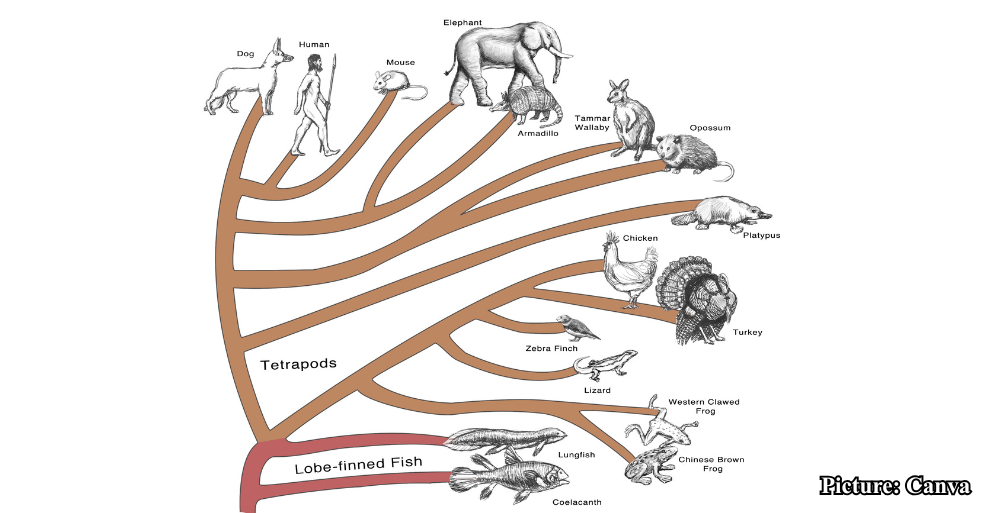 GNN New Research Identifies Universal Thermal Performance Curve Limiting Evolutionary Adaptation