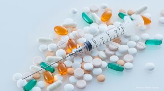 New Weight-Loss Drug GLP-1-GIP-Lani Shows Promising Results in Mouse Trials