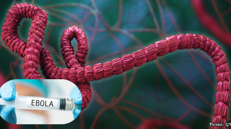 Oxford University and Serum Institute of India Collaborate on Urgent Ebola Vaccine Development
