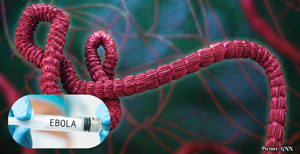 Oxford University and Serum Institute of India Collaborate on Urgent Ebola Vaccine Development
