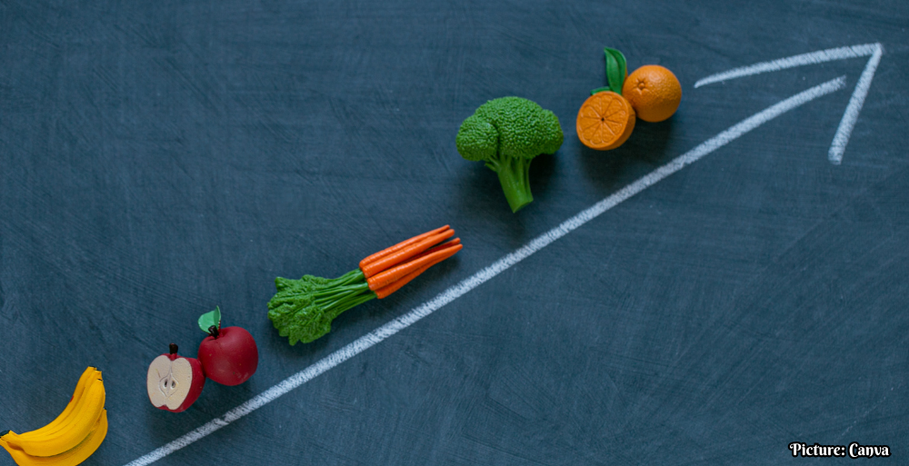 Rising Grocery Prices Signal Financial Strain Ahead of Midterm Elections
