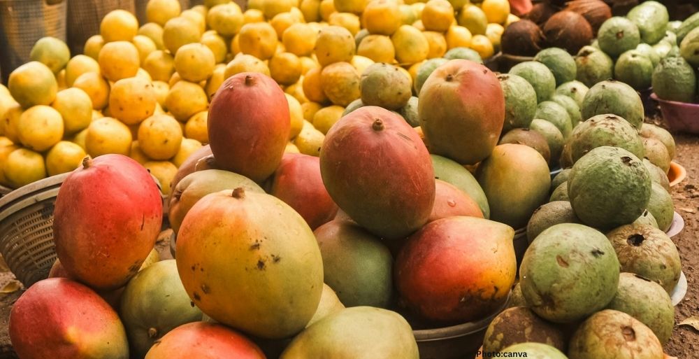 Japan Halts Indian Mango Imports Over Quarantine Concerns, Sparking Monopoly Claims from Exporters