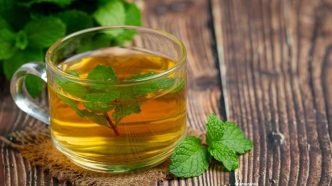 Photo Peppermint Tea A Natural Solution for Post Meal Digestion Issues