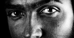 The Evolutionary Significance of Eyebrows in Human Communication
